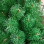 Choinka sztuczna Choinka sztuczna Gałązka choinkowa z PVC Metalowy stojak Łatwy montaż Dekoracja świąteczna – zielona 150 cm (5 stóp) (300 cm (9,8 stóp)) (300 cm (9,8 stóp))… – Image 2