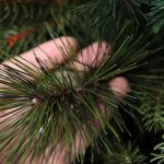 Sztuczna choinka bożonarodzeniowa o wysokości 7,8 stopy, dekoracja świąteczna, sztuczna choinka bożonarodzeniowa z PE + PVC, ekologiczna choinka bożonarodzeniowa, idealna do wnętrz i na zewnątrz, zielona, 240... – Image 5