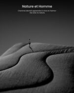 tomtoc 360° Pokrowiec na 15-calowego MacBooka Air M3/A3114 M2/A2941 2024-2023, 2024 15″ Microsoft Nowy laptop Surface Copilot+ PC, 15″ Laptop Surface 6/5/4/3, lekki, miękki… – Image 2